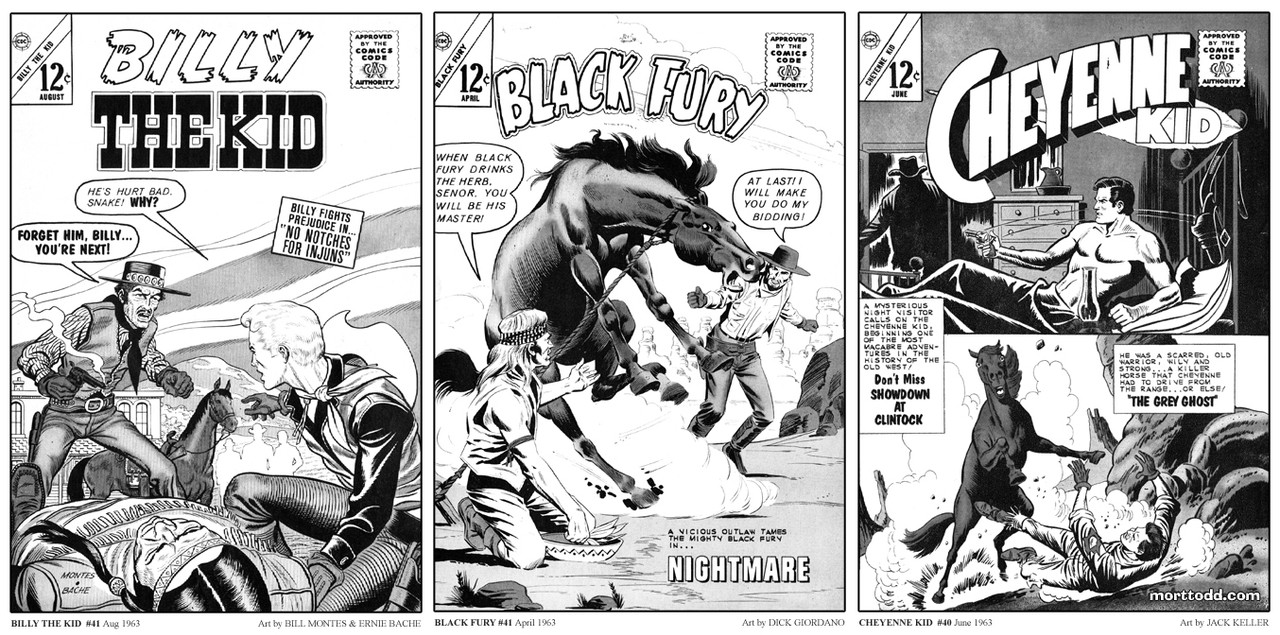 Outlaws of the Wild West Volume 1